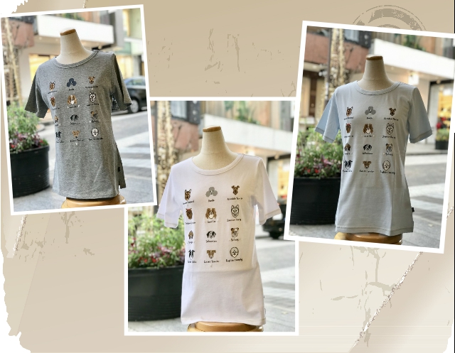 商品名をここに入れます